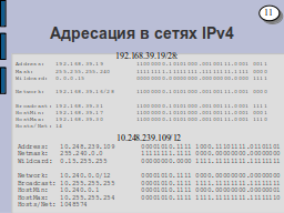 Страница 11